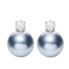 Stylish 18K White Gold Saltwater Gray Akoya Pearl Stud Earrings 8.5-9mm